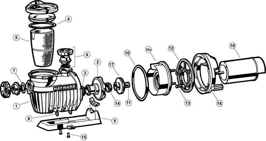 hayward pool pumps parts diagram