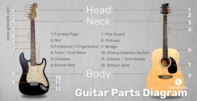 acoustic guitar parts diagram