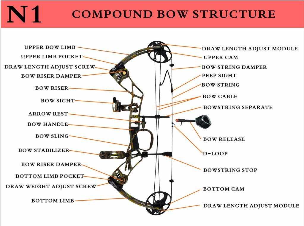 bow and arrow parts diagram