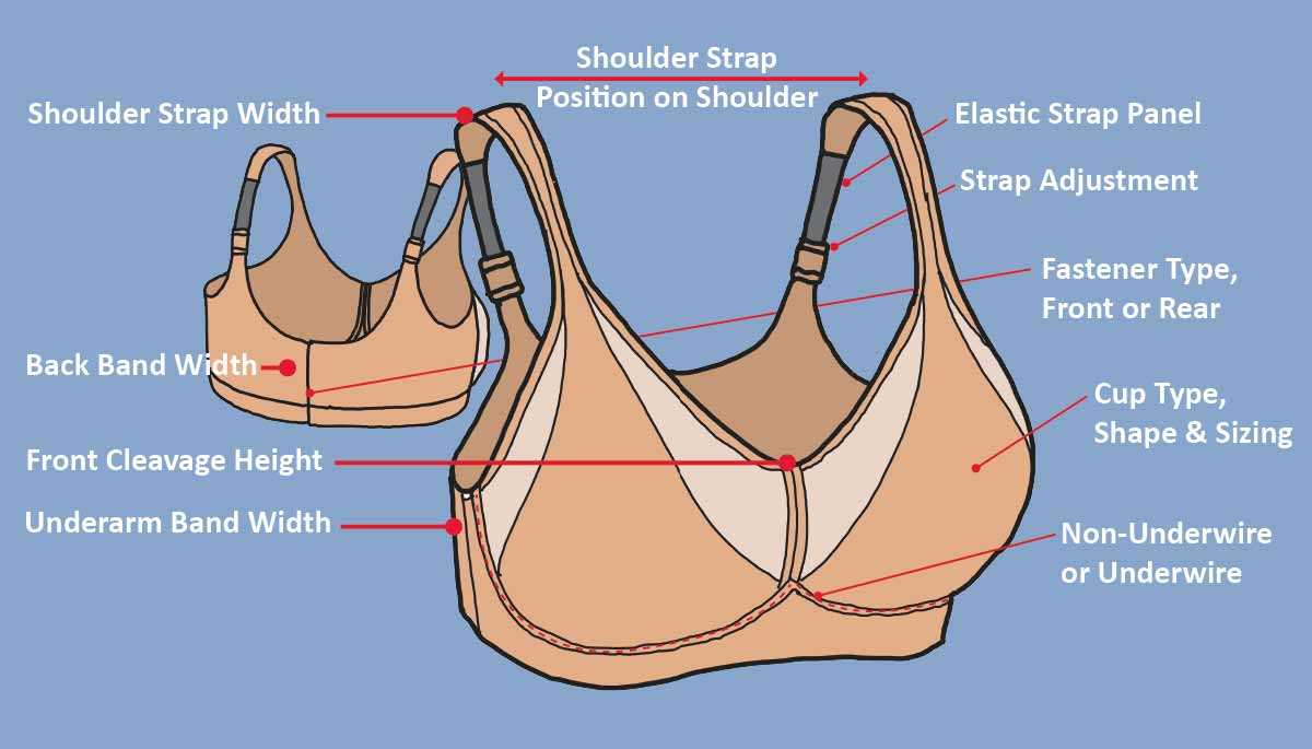 bra parts diagram