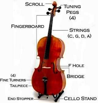 cello parts diagram