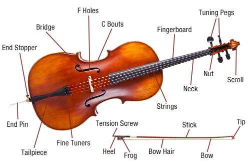 cello parts diagram