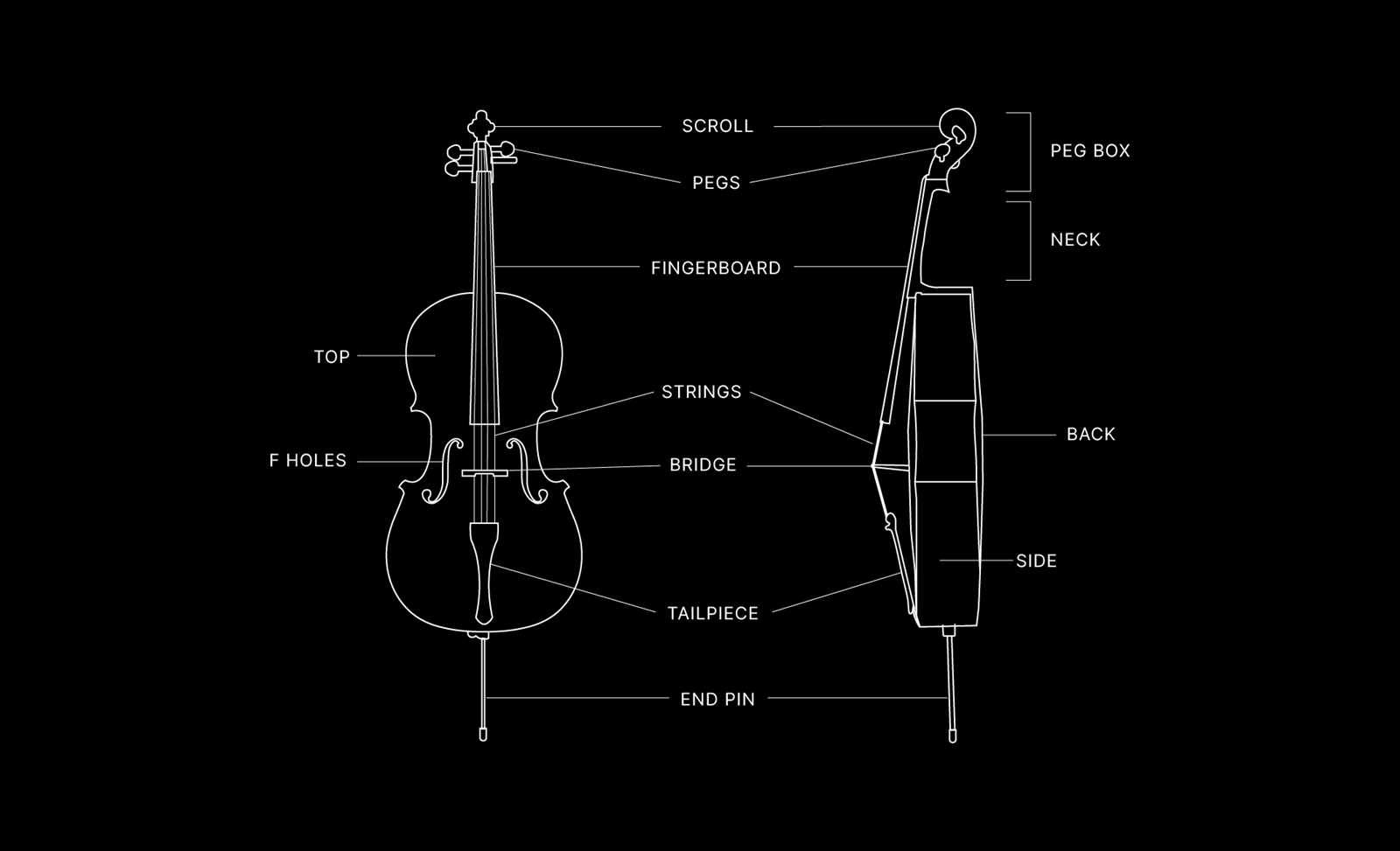 cello parts diagram