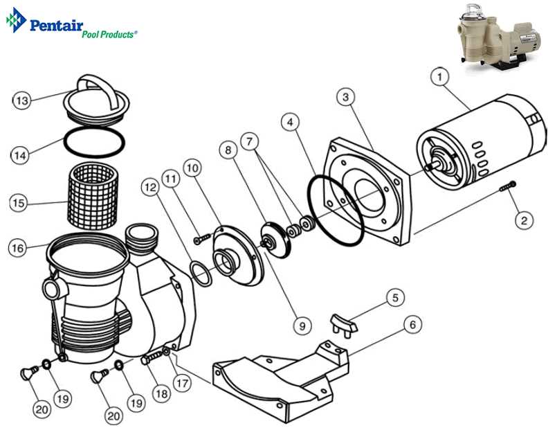 century centurion pool pump parts diagram