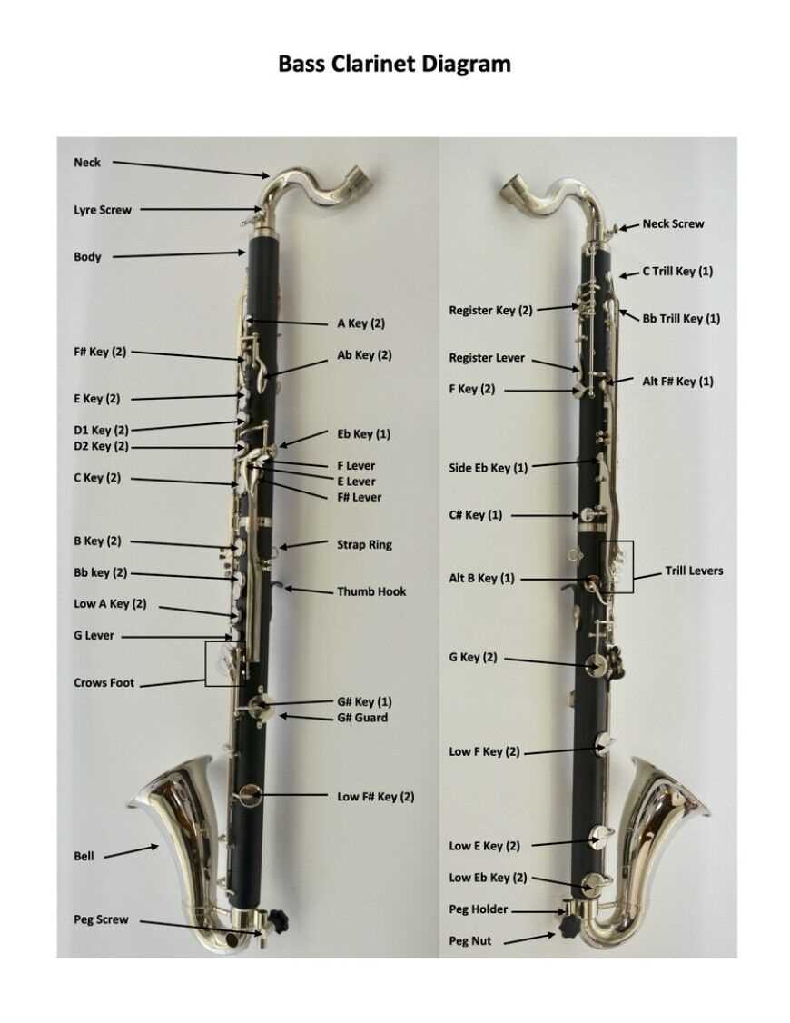 clarinet parts diagram