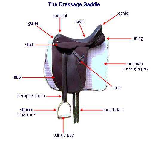 english saddle parts diagram