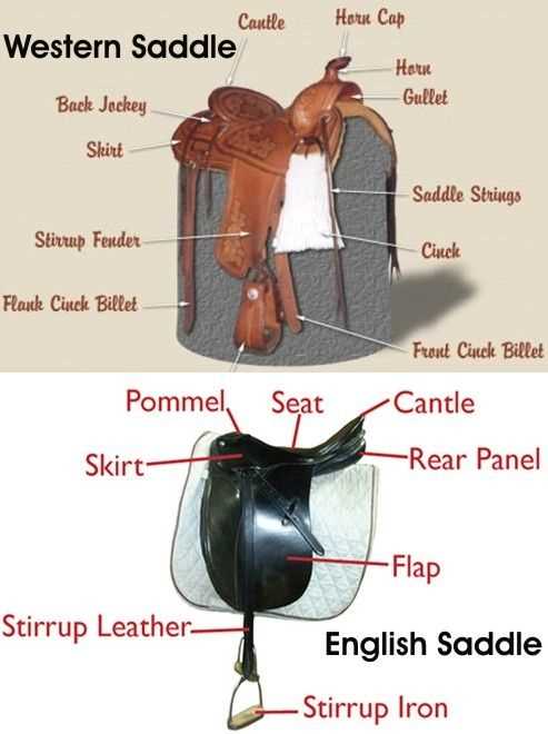 english saddle parts diagram