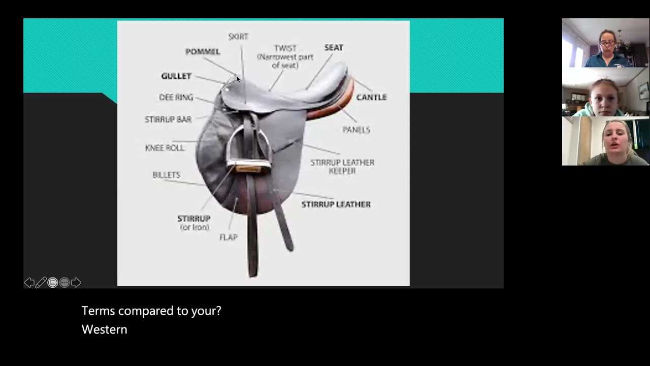 english saddle parts diagram