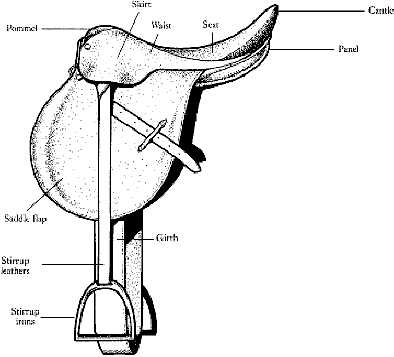 english saddle parts diagram