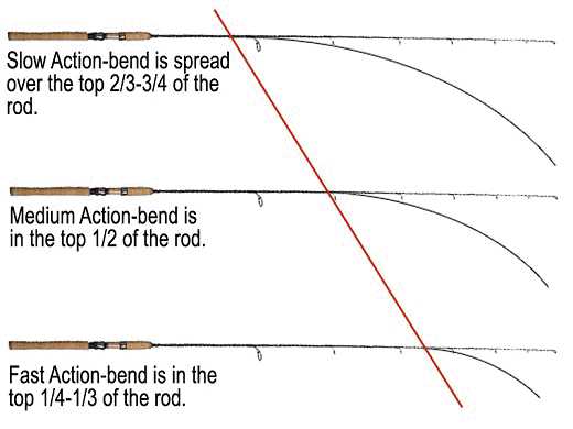 fly rod parts diagram