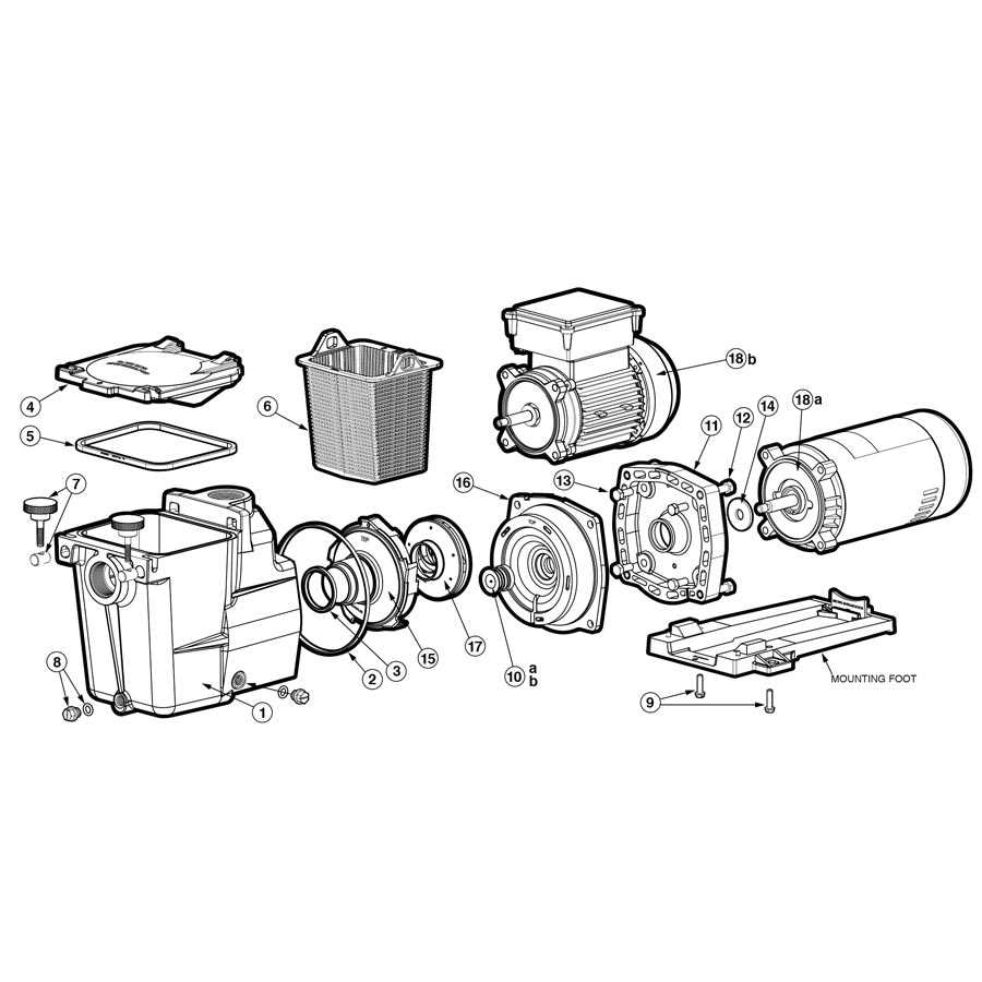 hayward pool pump motor parts diagram