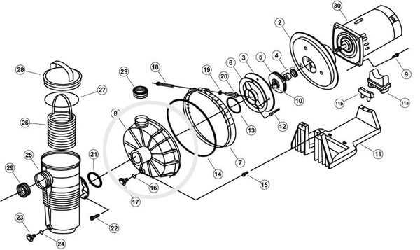 hayward pool pump motor parts diagram