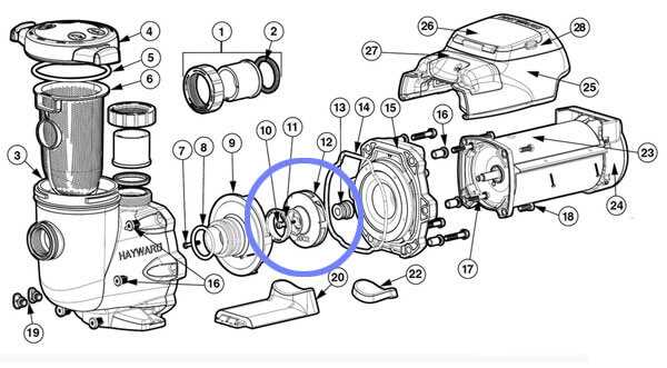 hayward pool pump motor parts diagram