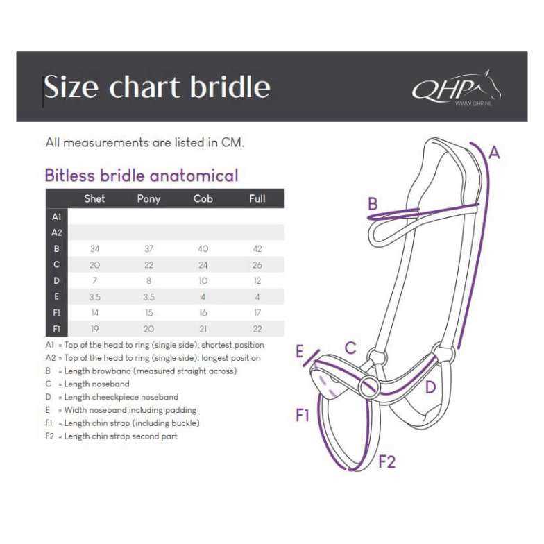 horse bridle parts diagram