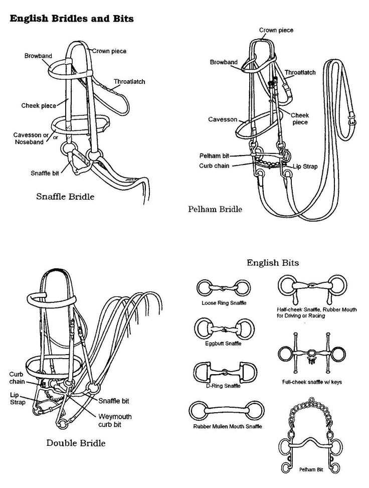 horse bridle parts diagram