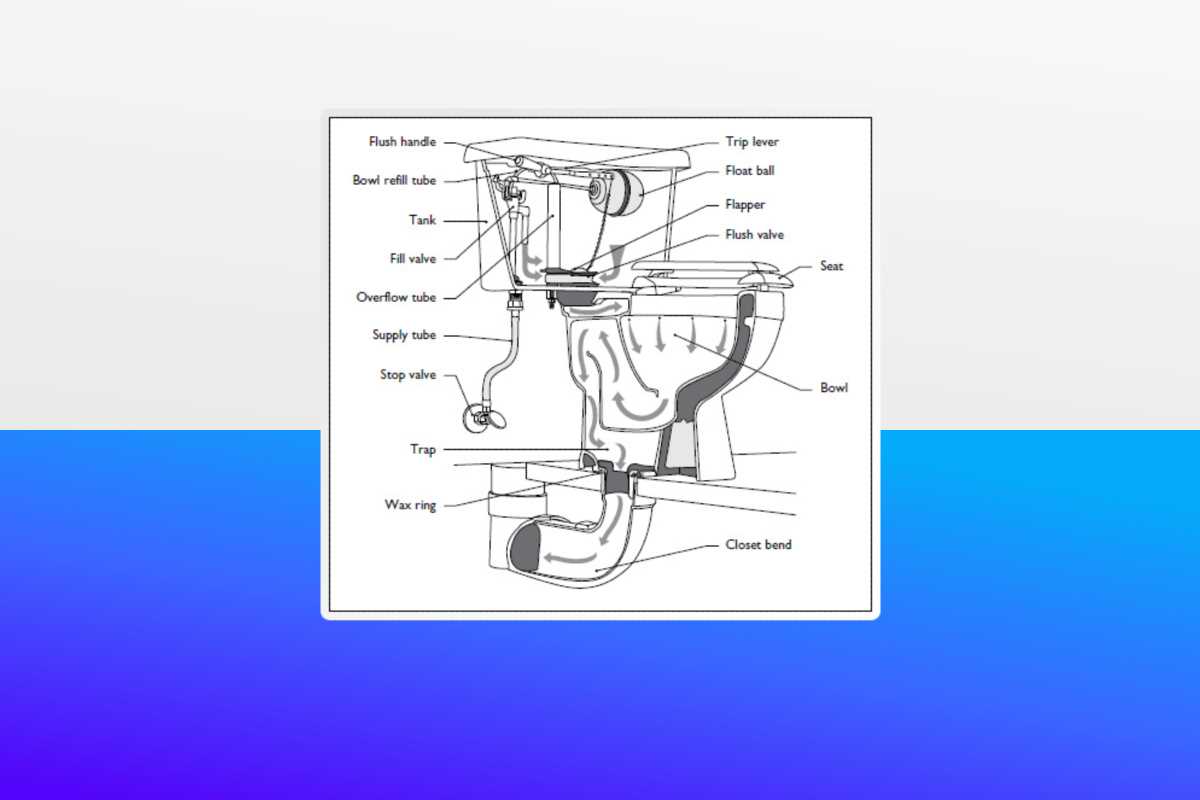 kohler toilet seat parts diagram