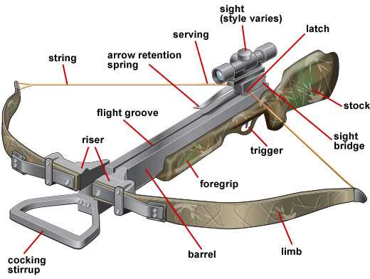 parts of a crossbow diagram