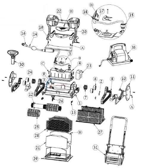 parts of a dolphin diagram