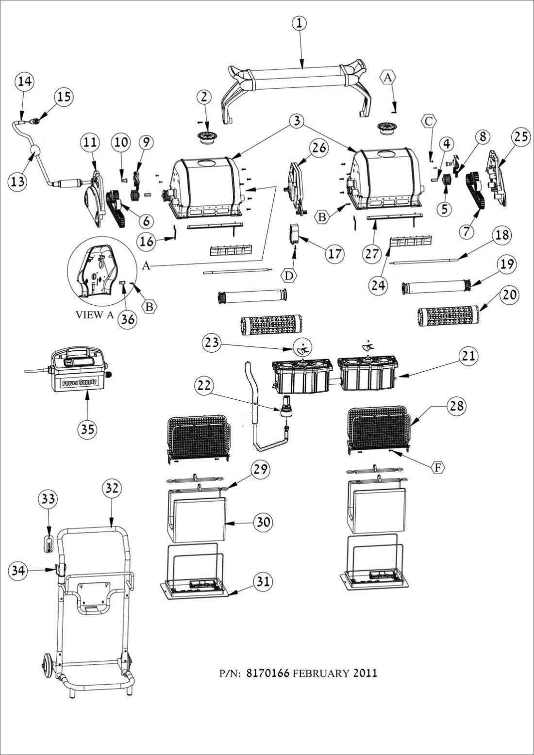 parts of a dolphin diagram