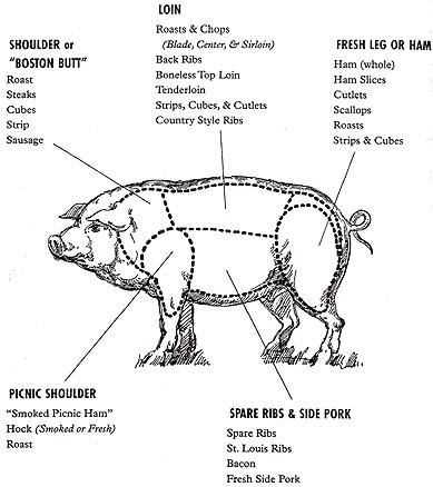 parts of a hog diagram