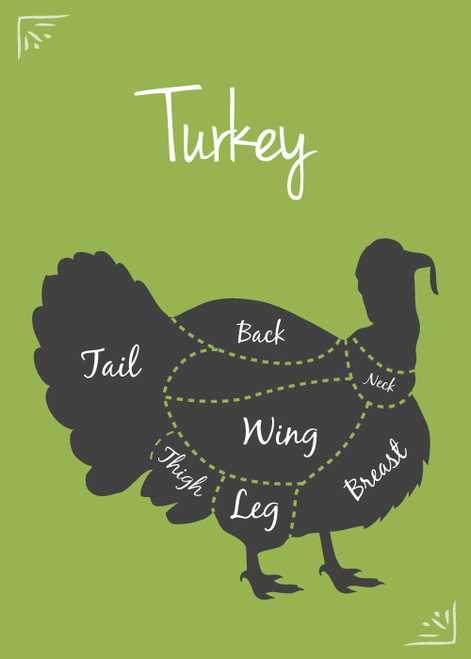 parts of a turkey diagram