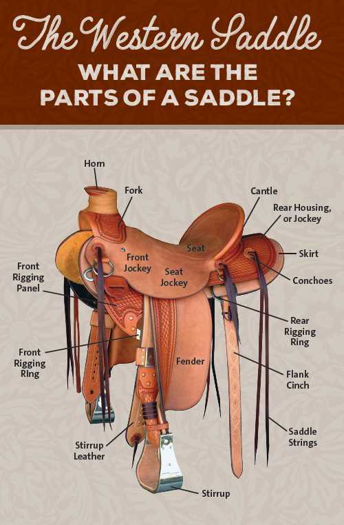 parts of a western saddle diagram