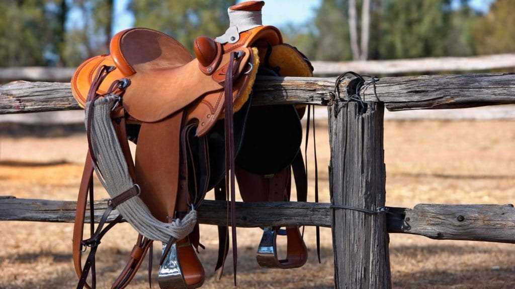 parts of a western saddle diagram