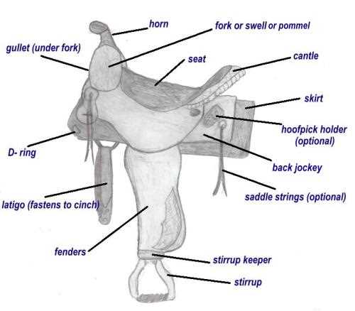 parts of a western saddle diagram