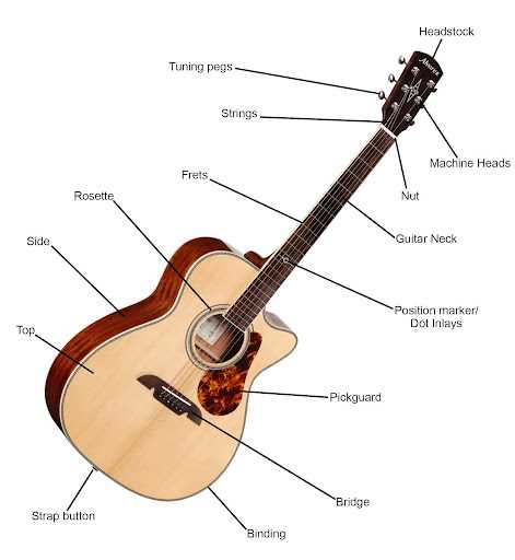 parts of an acoustic guitar diagram