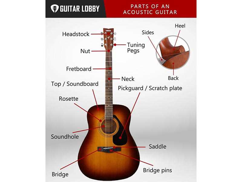 parts of an acoustic guitar diagram