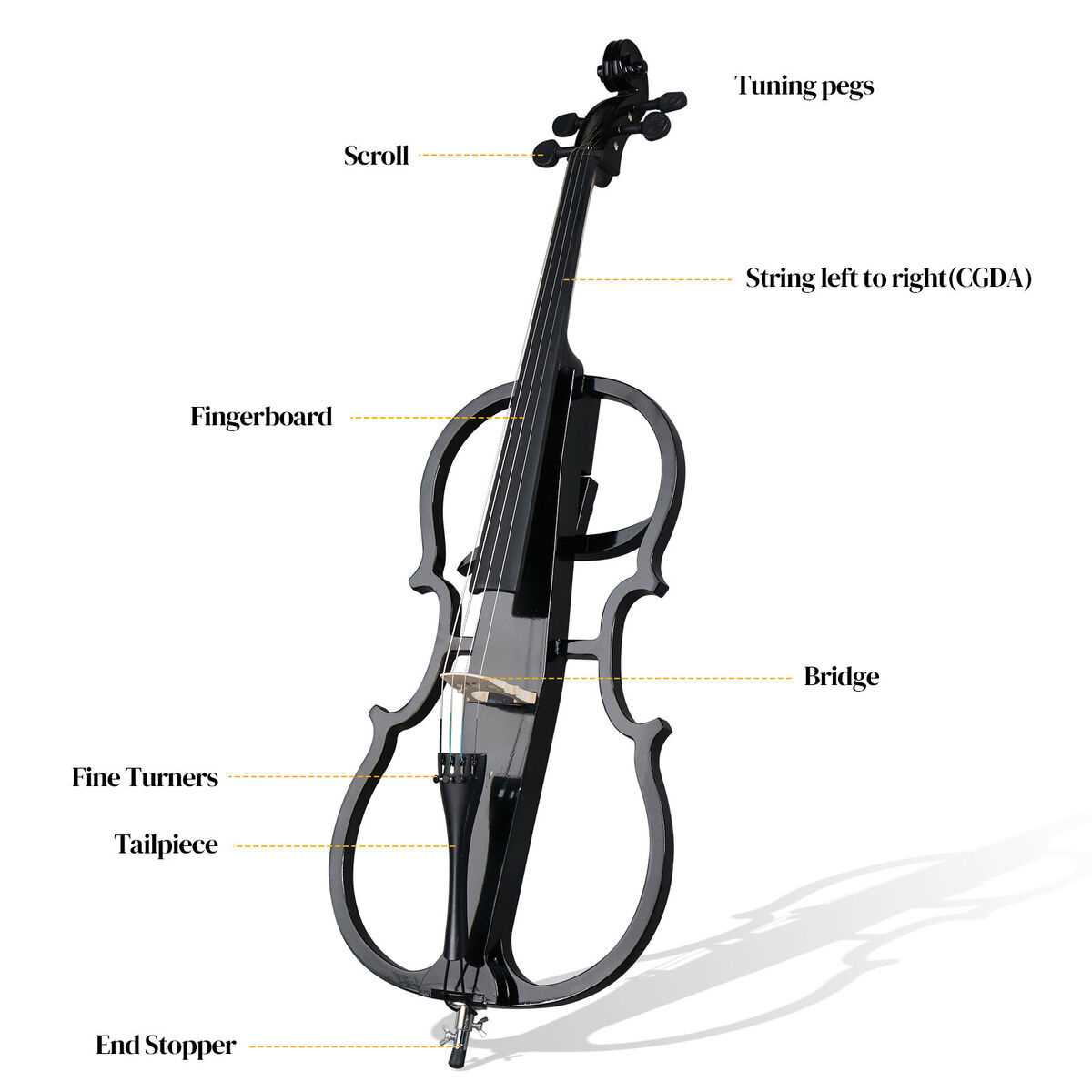 parts of cello diagram