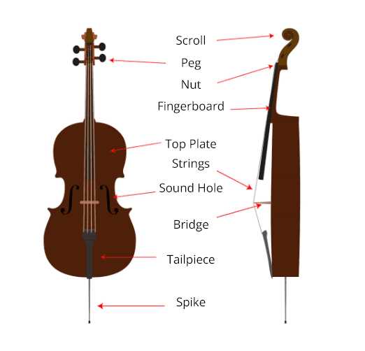 parts of cello diagram