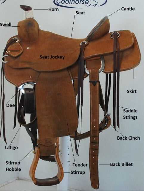 parts of the saddle diagram