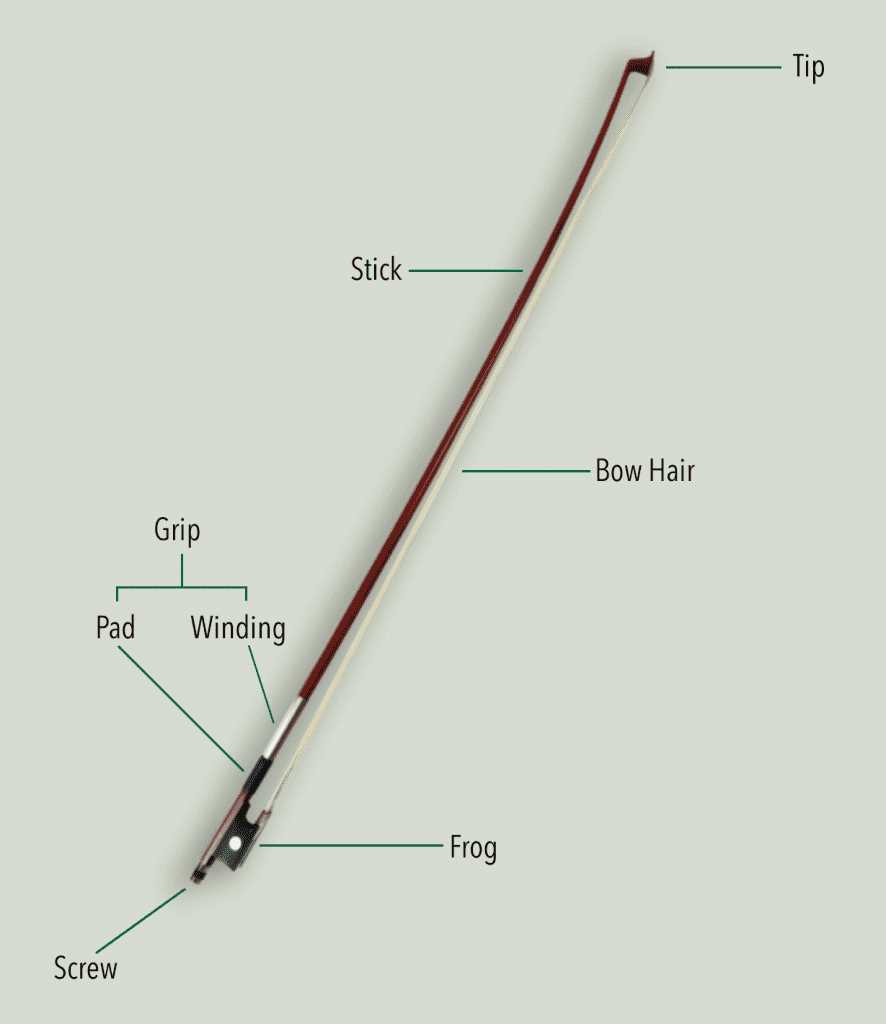 parts of violin diagram