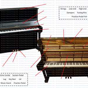 piano parts diagram