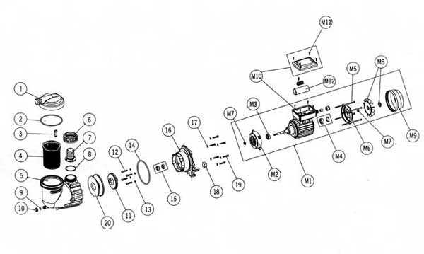 pool pump motor parts diagram