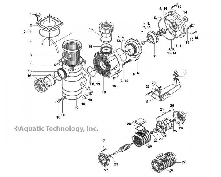 pool pump parts diagram