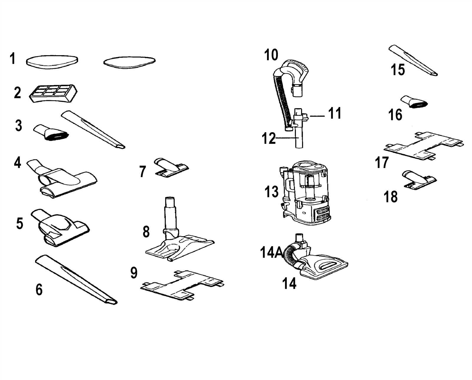 shark parts diagram