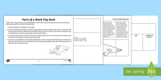 shark parts diagram