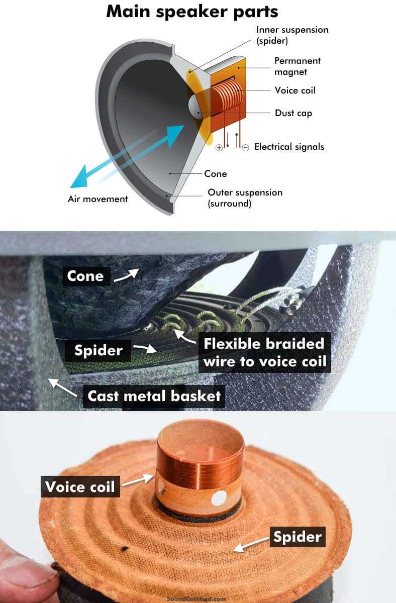 subwoofer parts diagram