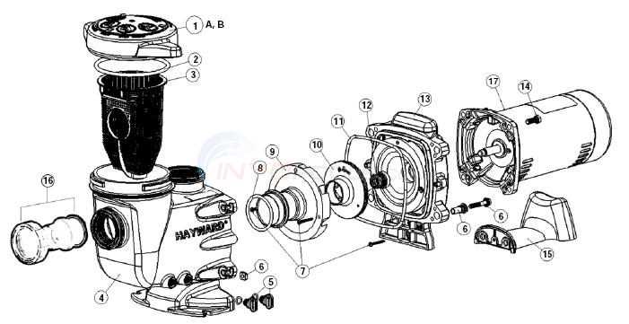 swimming pool pump parts diagram