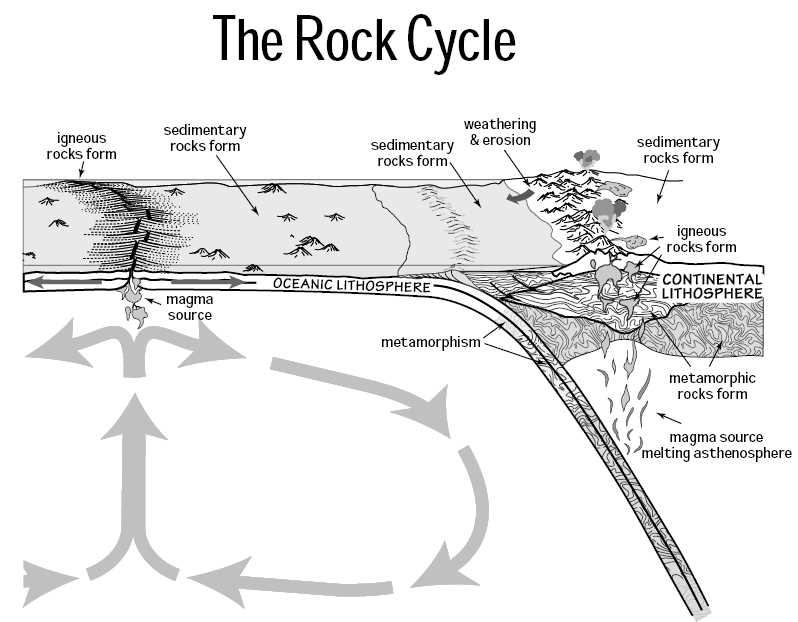 the diagram shows part of the rock cycle.