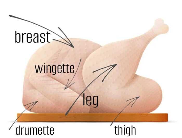 turkey body parts diagram