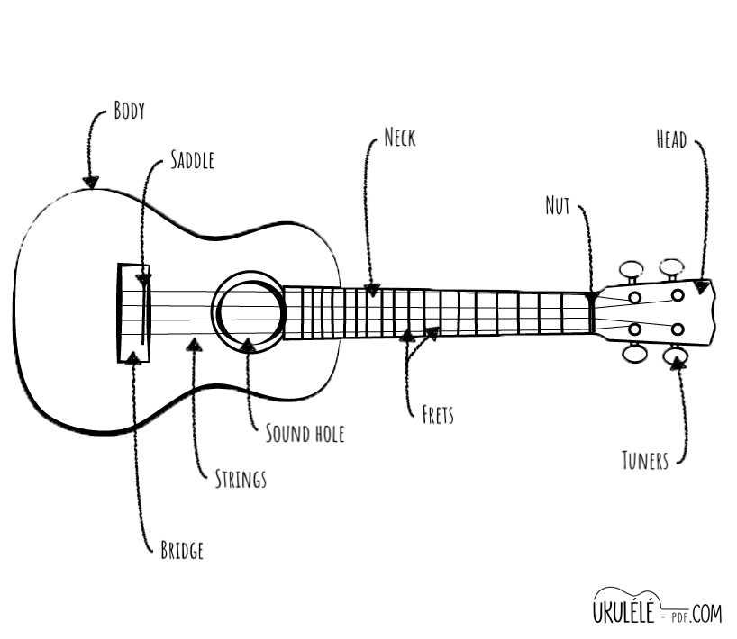 ukulele parts diagram