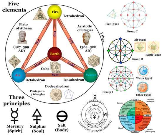 venn diagram trees and body parts nyt