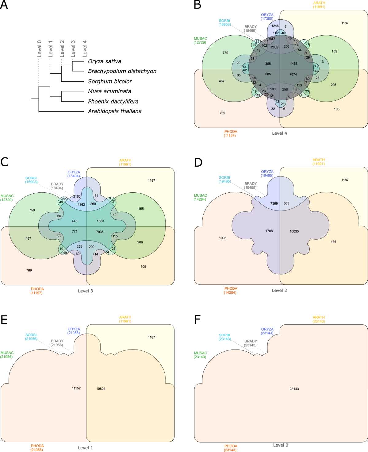 venn diagram trees body parts