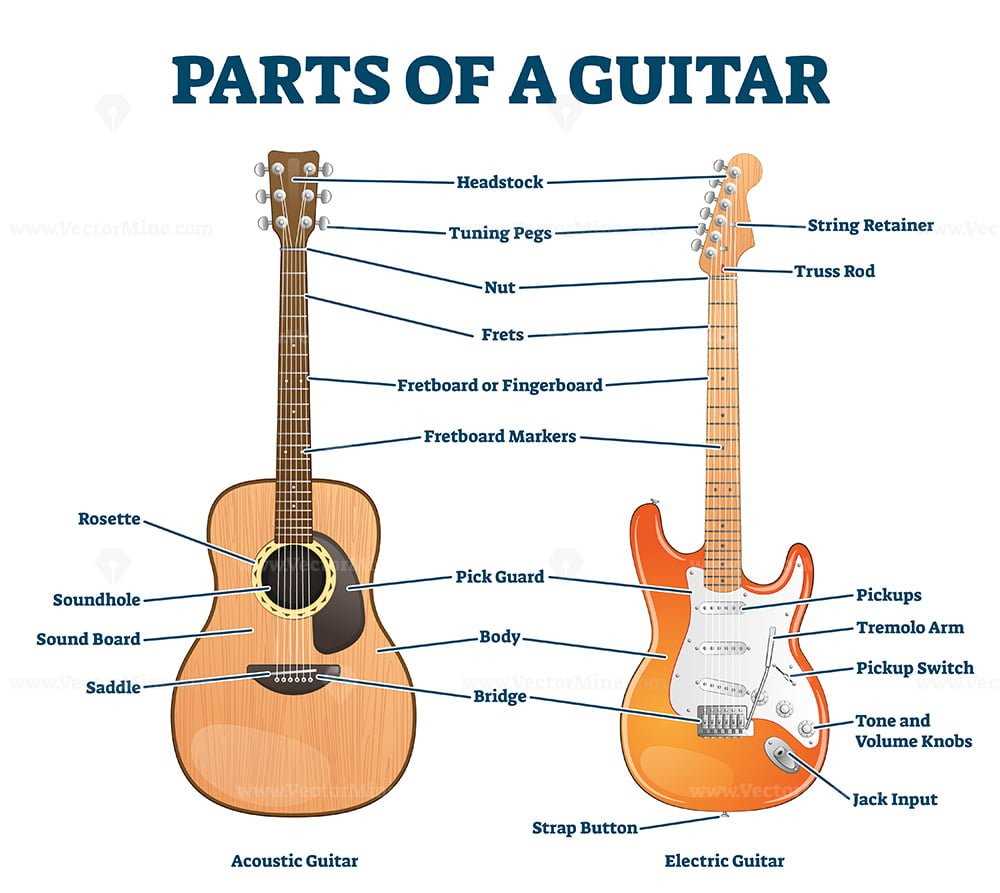 acoustic guitar parts diagram