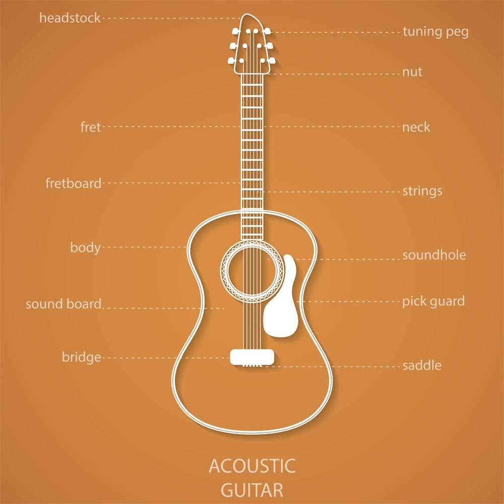 acoustic guitar parts diagram