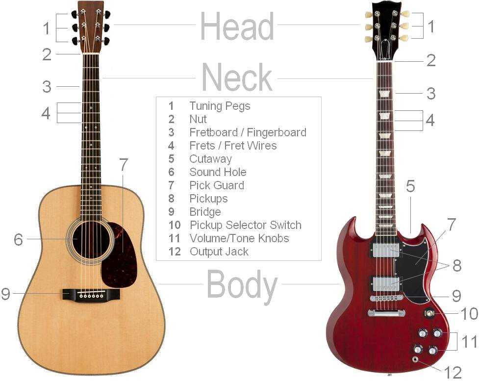 acoustic guitar parts diagram