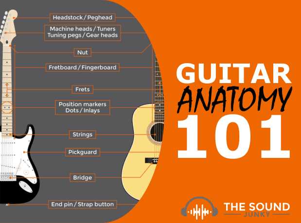 acoustic guitar parts diagram